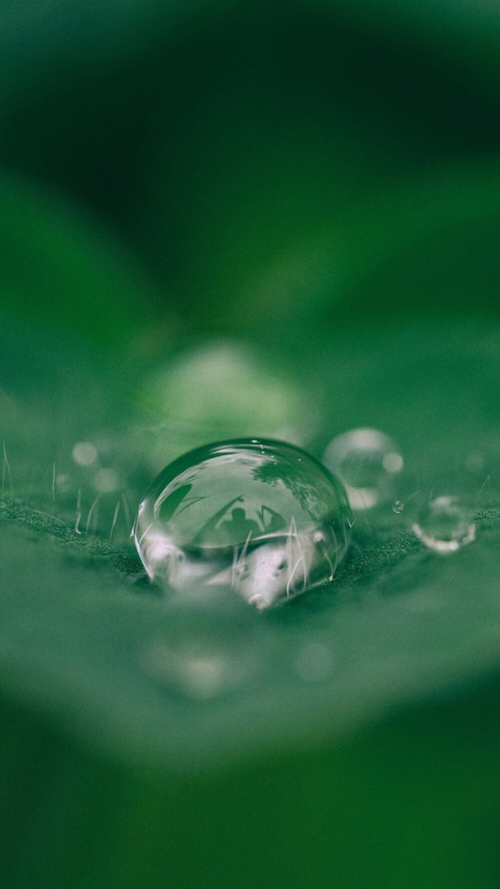 最新护眼壁纸图片大全,清新护眼壁纸集锦