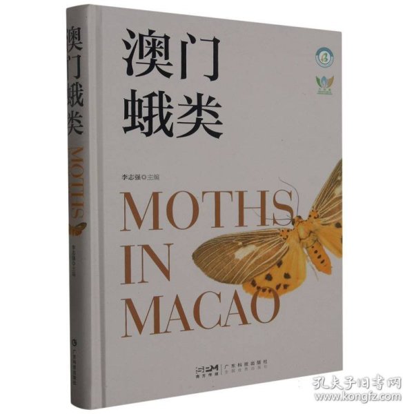 澳门最精准正最精准龙门蚕,综合研究解释定义_入门版72.24.59