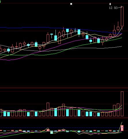 西发集团收购,西藏发展迎来新一轮重组