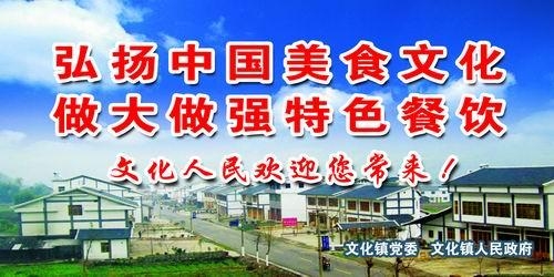 安岳文化镇最新动态速递,最新消息一览无余