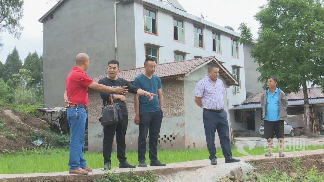 安岳文化镇最新动态速递,最新消息一览无余