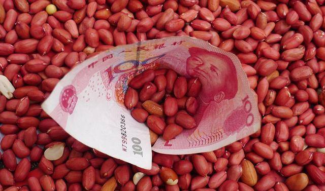 安徽花生价格最新行情2023年分析报告