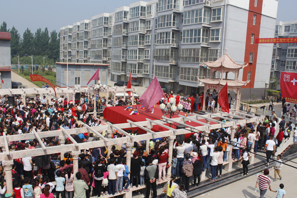 宁晋双井最新动态速递,最新消息一览