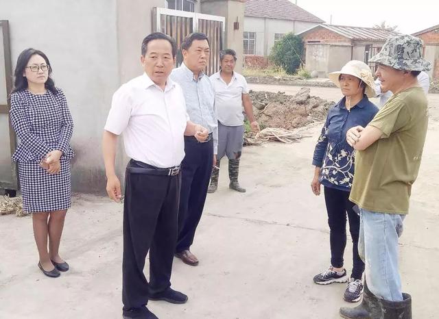 淤溪镇最新动态速递,镇内最新消息一览