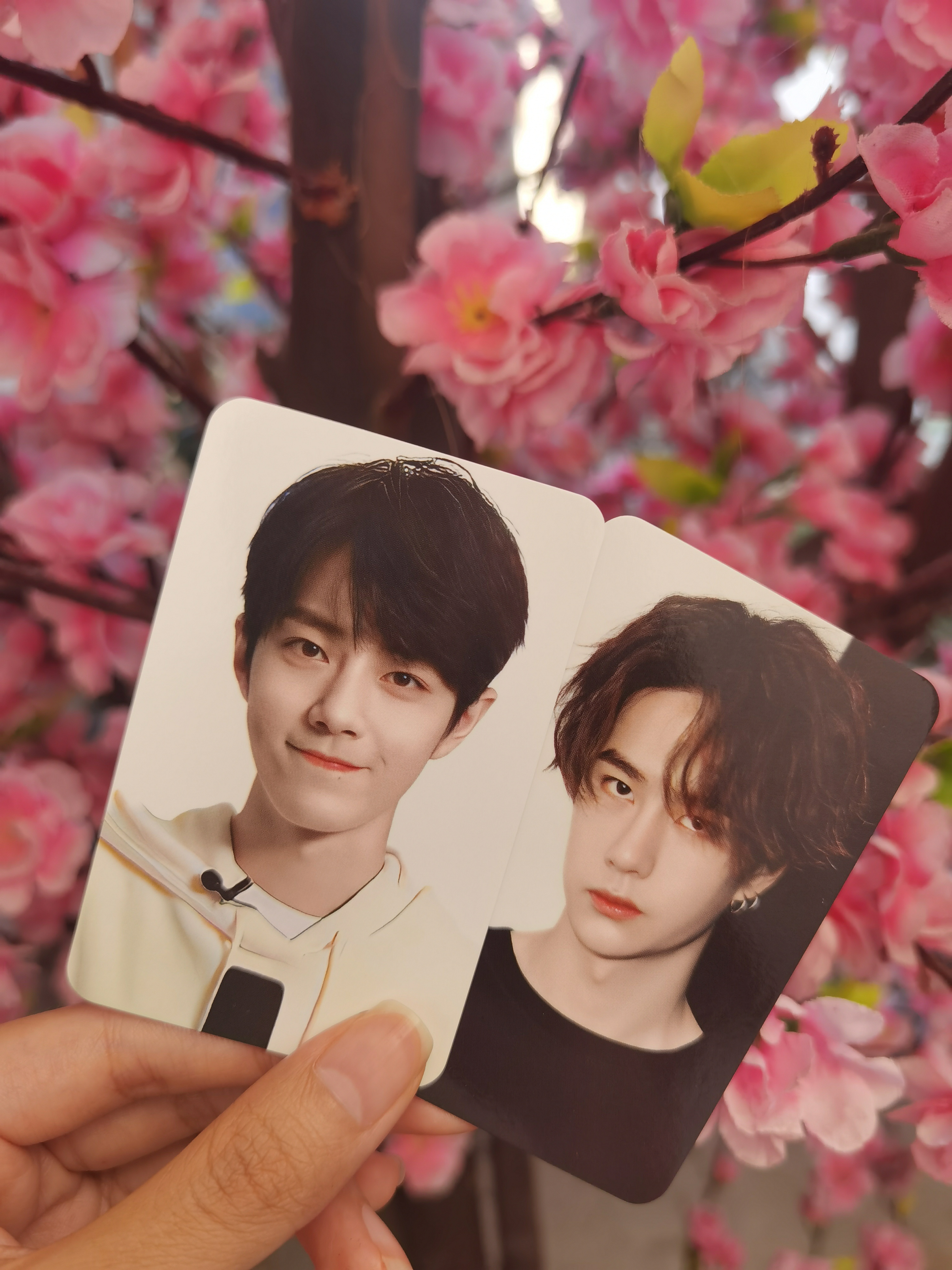 一肖一码一一肖一子,持久性计划实施_专业款24.19.94