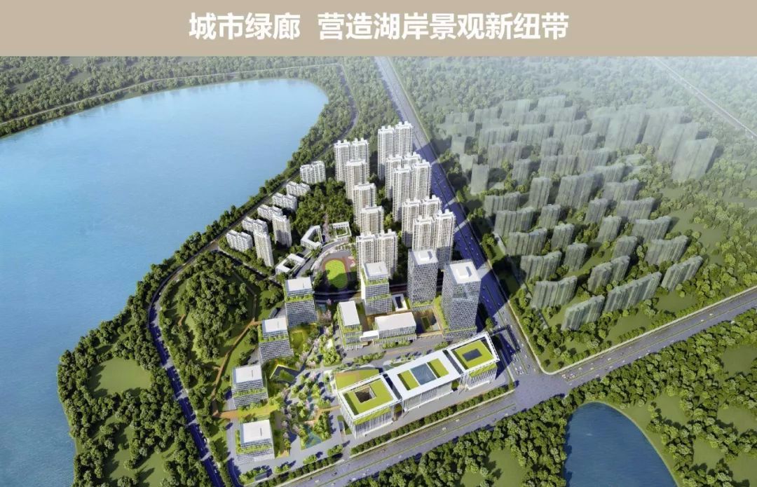 武汉阳逻全方位最新消息与参与指南更新揭秘