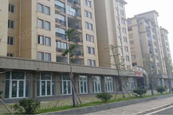 水韵金城最新动态揭秘,瞩目发展脉络,细述未来展望