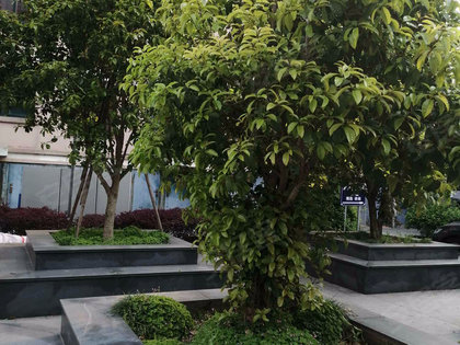 水韵金城最新动态揭秘,瞩目发展脉络,细述未来展望