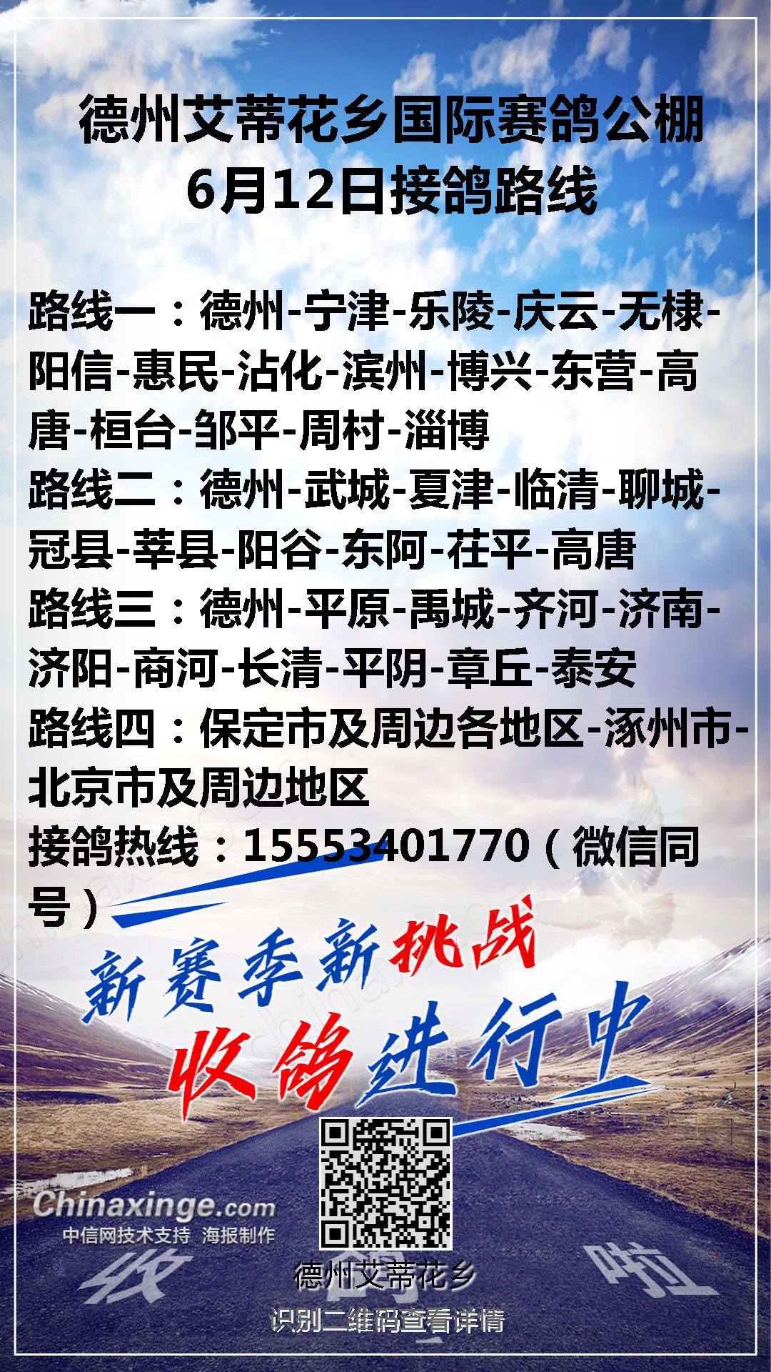 文德赛鸽公棚最新公告,一段温馨的鸽子传说