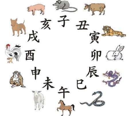 揭秘生肖折扣技能,如何识别并把握样样打五折的生肖优惠?