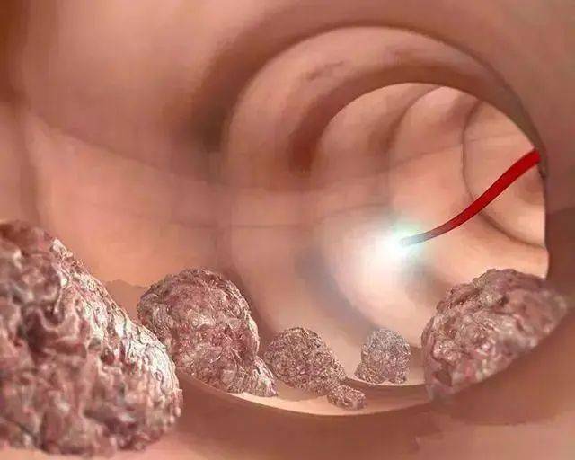 泪眼相对断悉肠,指什么生肖,泪眼相对断悉肠,指的生肖是兔