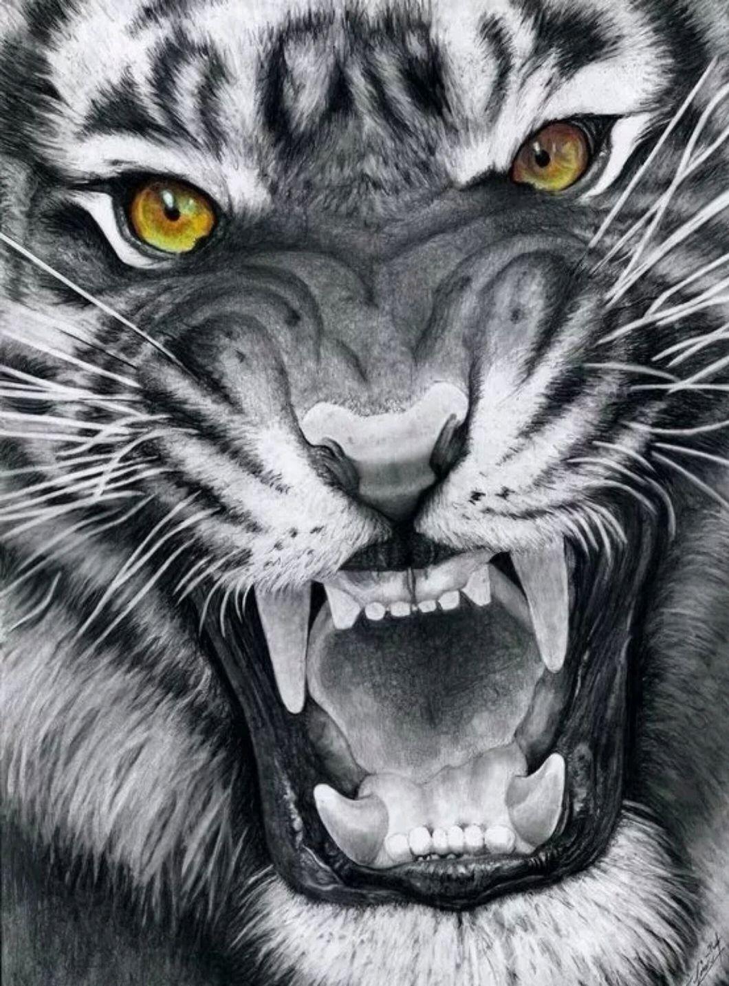 一杯更進將軍酒,指什么生肖,一杯更進將軍酒,指什么生肖