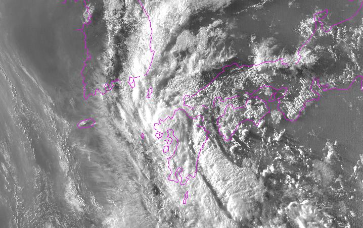 台风胚胎最新消息