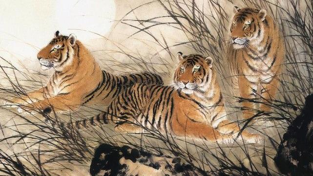 时方虎圈听豪夸,指什么生肖