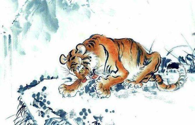 时方虎圈听豪夸,指什么生肖