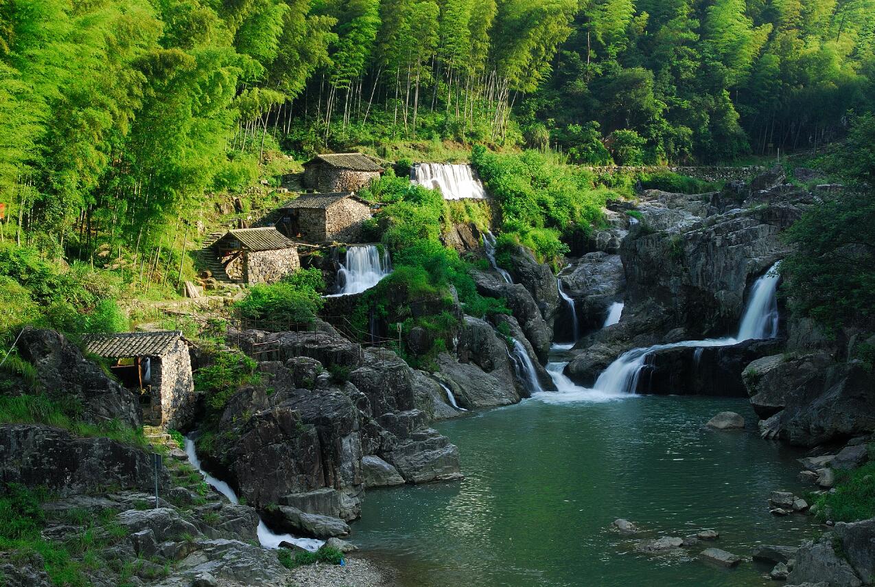 花香烏語世外居,指什么生肖