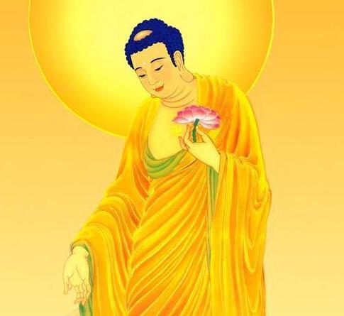 十四有码心中取,指什么生肖