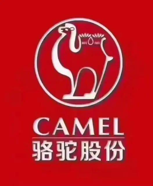 骆驼招聘最新招聘信息,骆驼招聘最新招聘信息,启程,探索自然美景的旅行