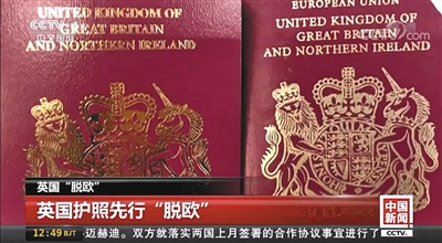 护照最新版,护照最新版,创新与稳定的平衡