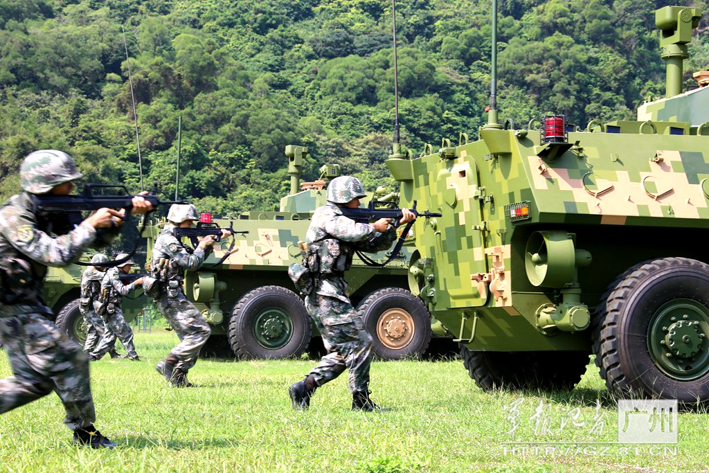 最新步兵在线,最新步兵在线，与自然共舞，重拾内心的宁静