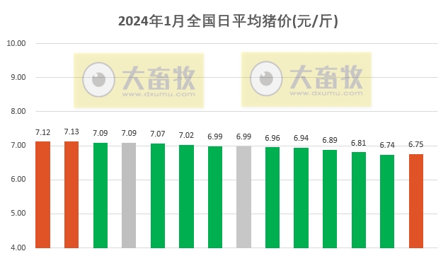 2024年开奖结果_最新羊价行情,实践解析说明_uShop67.11.46
