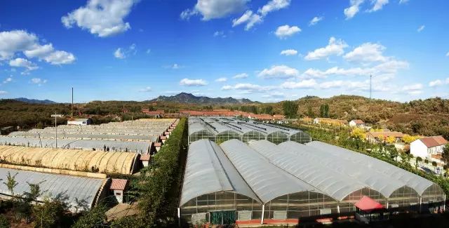 2017滦县最新规划,滦县未来蓝图,揭秘2017年最新规划