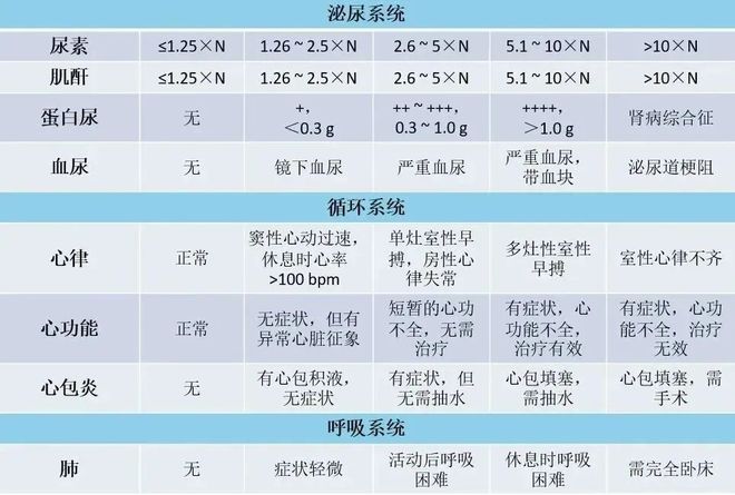 2024年香港正版资料免费大全图片_不良事件分级最新标准,专业解读评估_精致版9.53.98
