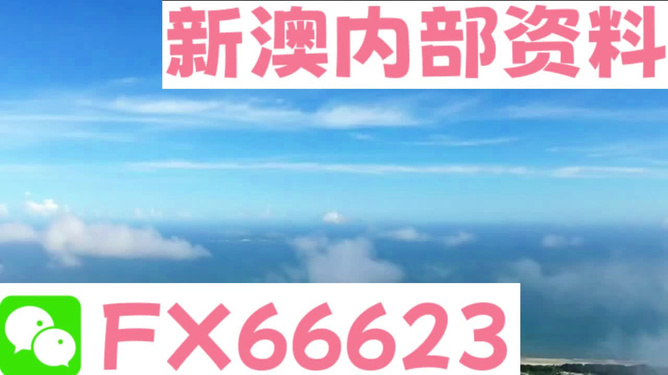 新澳最新内部资料_全国葵花价格最新行情,实时数据分析_精致生活版1.28.542