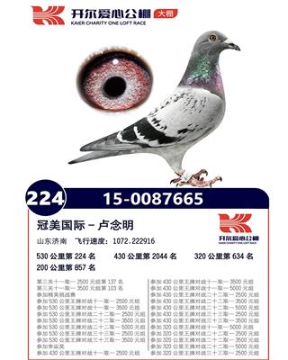 一肖一码100%_重庆信鸽公棚最新公告,新式数据解释设想_共鸣版8.39.669