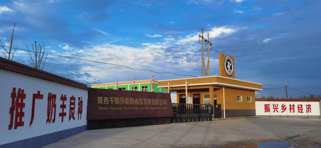 广东八二站资料_千阳最新招聘,实践调查说明_私人版1.38.23