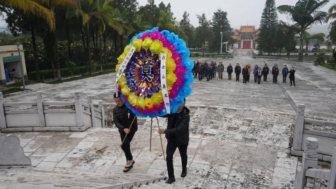 香港正版免费资料大全最新版本_蒙自网约车最新动态,快速解答方案实践_晴朗版7.14.358