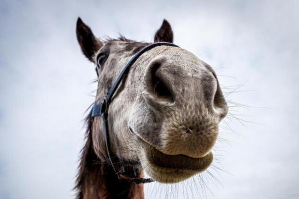 惠泽天下免费资料大全查询_角美龙池房价最新动态,全面信息解释定义_全球版5.30.187
