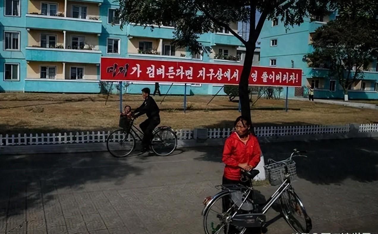 2024新奥资料免费精准05_朝鲜生活现状最新视频,快速实施解答研究_稳定版4.89.820