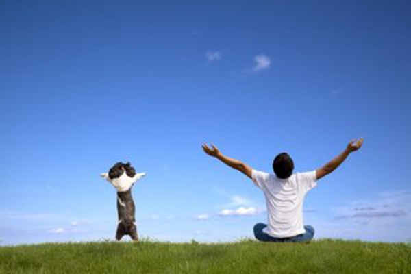 最新新闻图片,高效计划实施_灵动版3.20.362