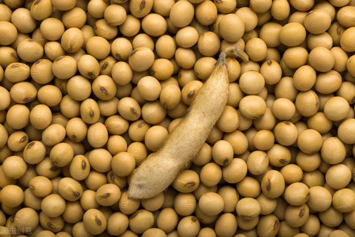 安庆土地拍卖 最新消息,安庆土地拍卖,最新消息引领城市新篇章