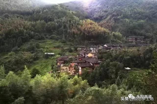 永泰世外梧桐最新消息,永泰世外梧桐的最新消息,揭开神秘面纱下的新篇章