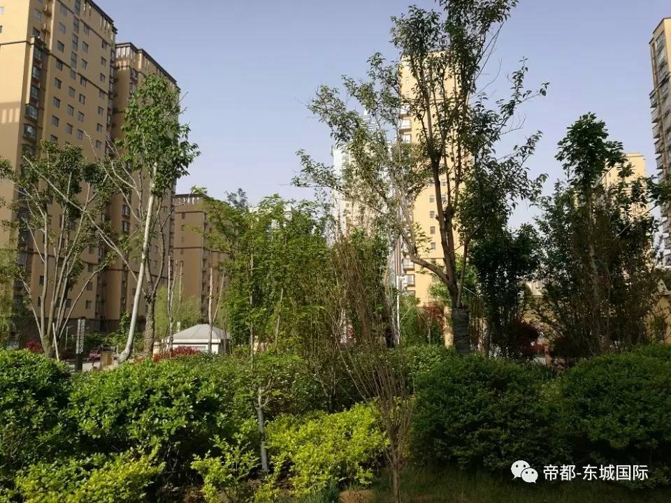 邱县东城国际最新消息,邱县东城国际的最新动态,一个蓬勃发展的社区展望