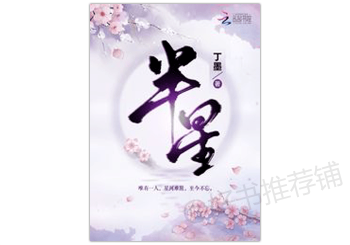 丁墨最新小说半蔗面,丁墨最新小说半蔗面,探索未知世界的奇幻之旅