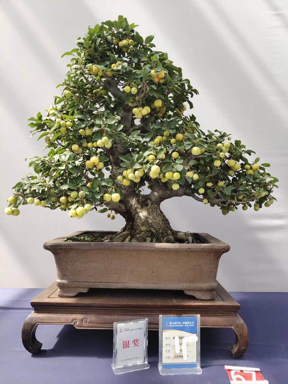 响水帝逸国际最新房价,响水帝逸国际最新房价,探寻现代都市生活的安居之地