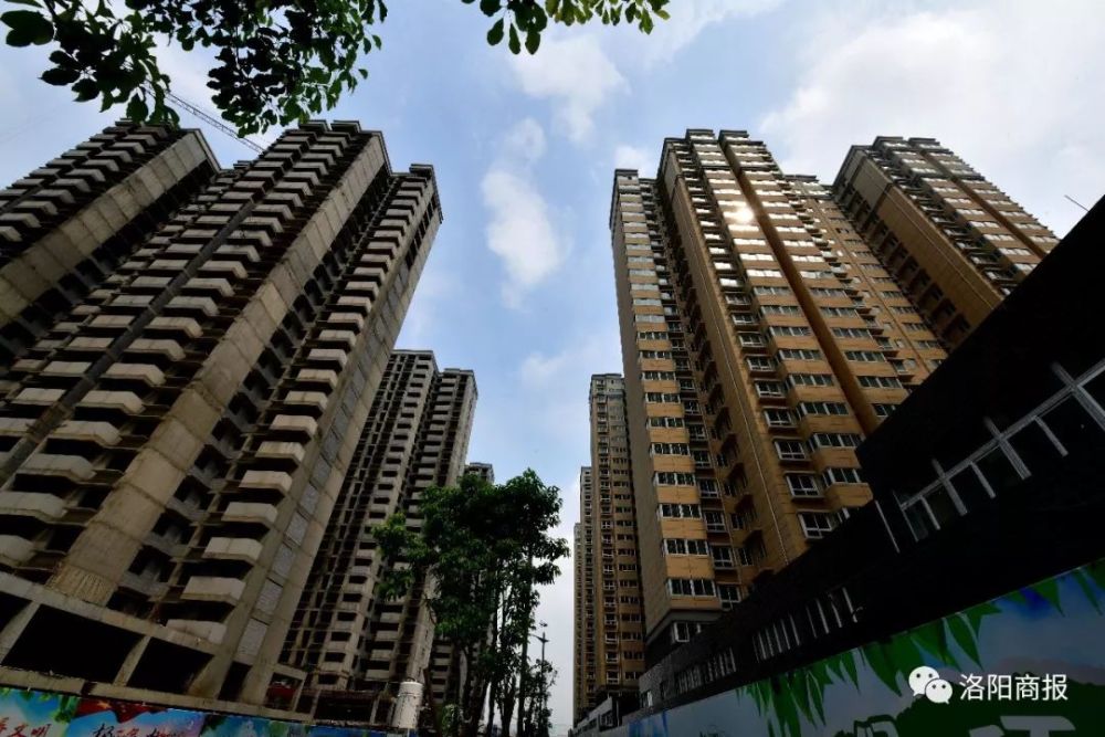 洛龙区龙跃一期最新,洛龙区龙跃一期最新动态,城市新生的脉搏
