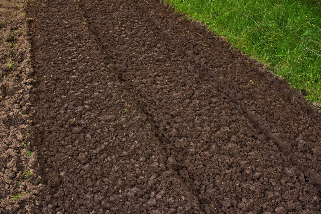 菜籽青饼最新价格行情,实时异文说明法_稳定版2.73.276