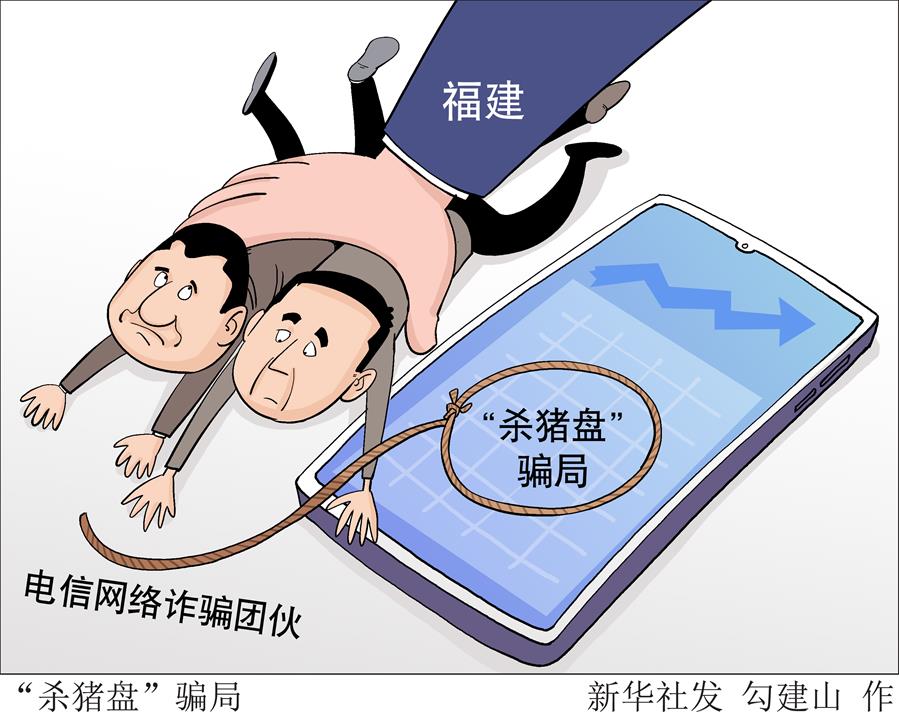 最新网络诈骗案件,稳固执行方案计划_通行证版7.48.82