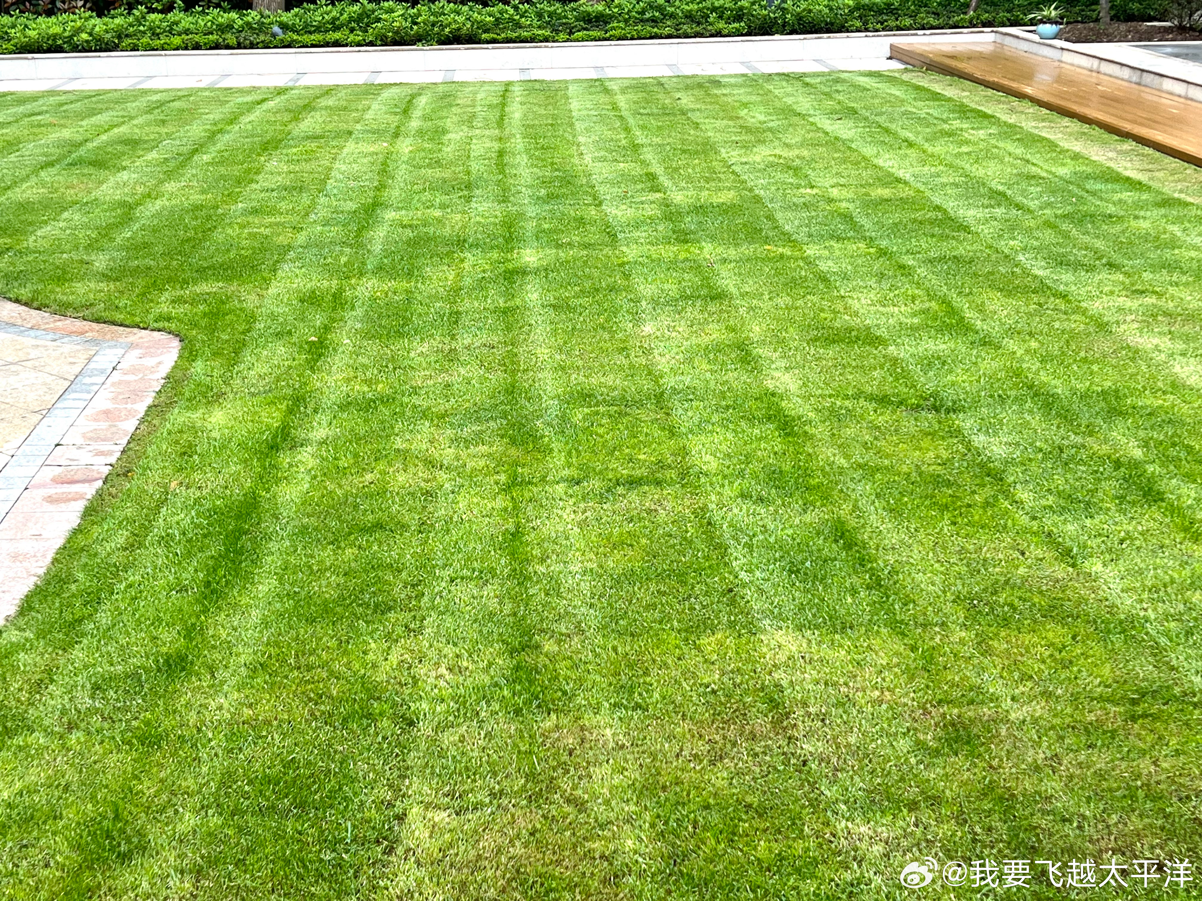 草草社区最新地址2024,高效执行方案_时尚版6.59.64