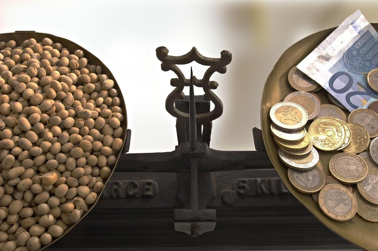 今日猪价最新猪价行情,实用性解读策略_经典版5.28.792