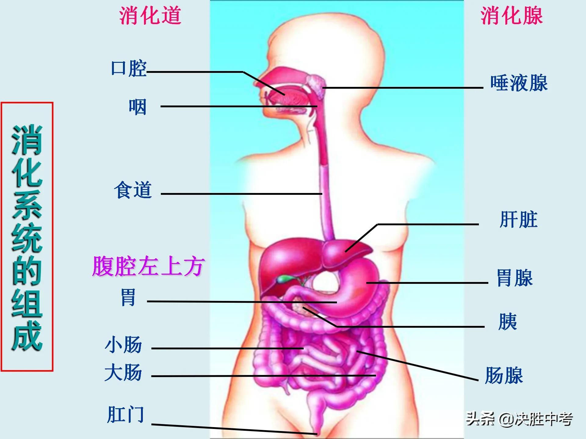 荣耀8青春版最新系统,持续性实施方案_声学版9.69.743
