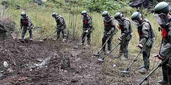 云南边境打仗最新消息,云南边境局势持续稳定,最新动态与积极进展