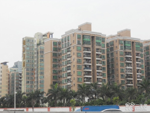 新澳门彩资料_青麓雅园最新二手房,实时数据分析_媒体宣传版3.43.15