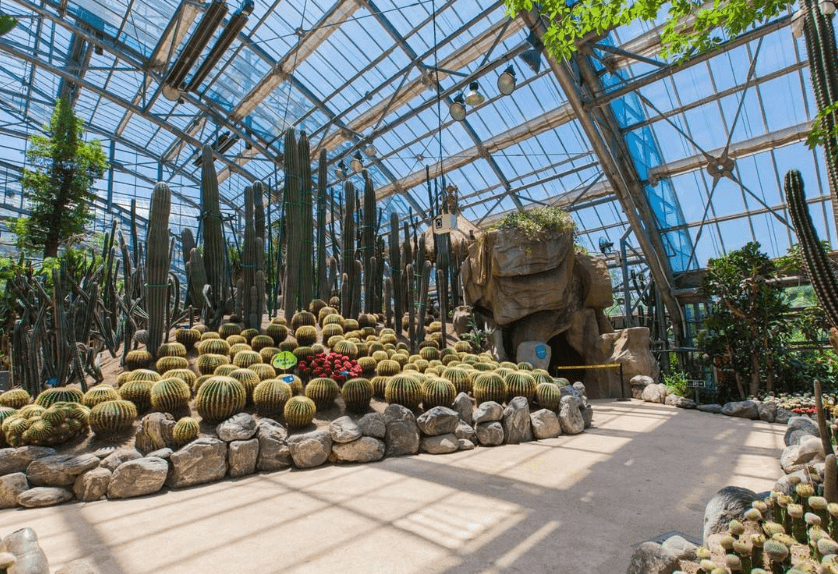 王中王一肖一中一特一中2020_进贤县植物园最新消息,新技术推动方略_原创性版7.70.494