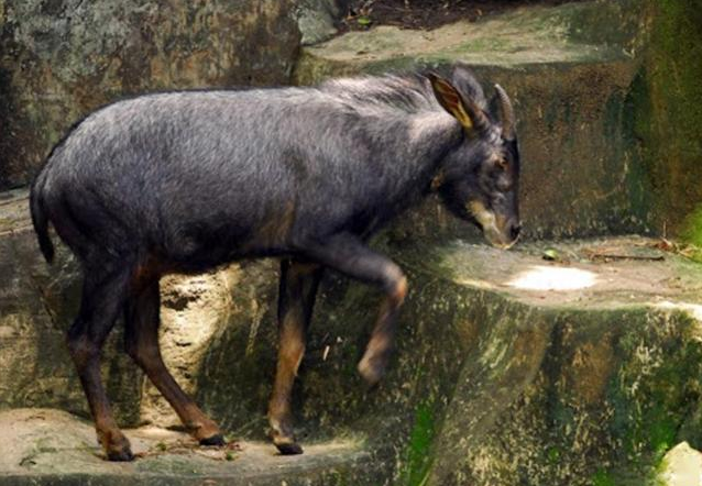 四不像正版+正版四不像凤凰_杭州二手房价格最新价,稳固执行战略分析_计算版7.93.758