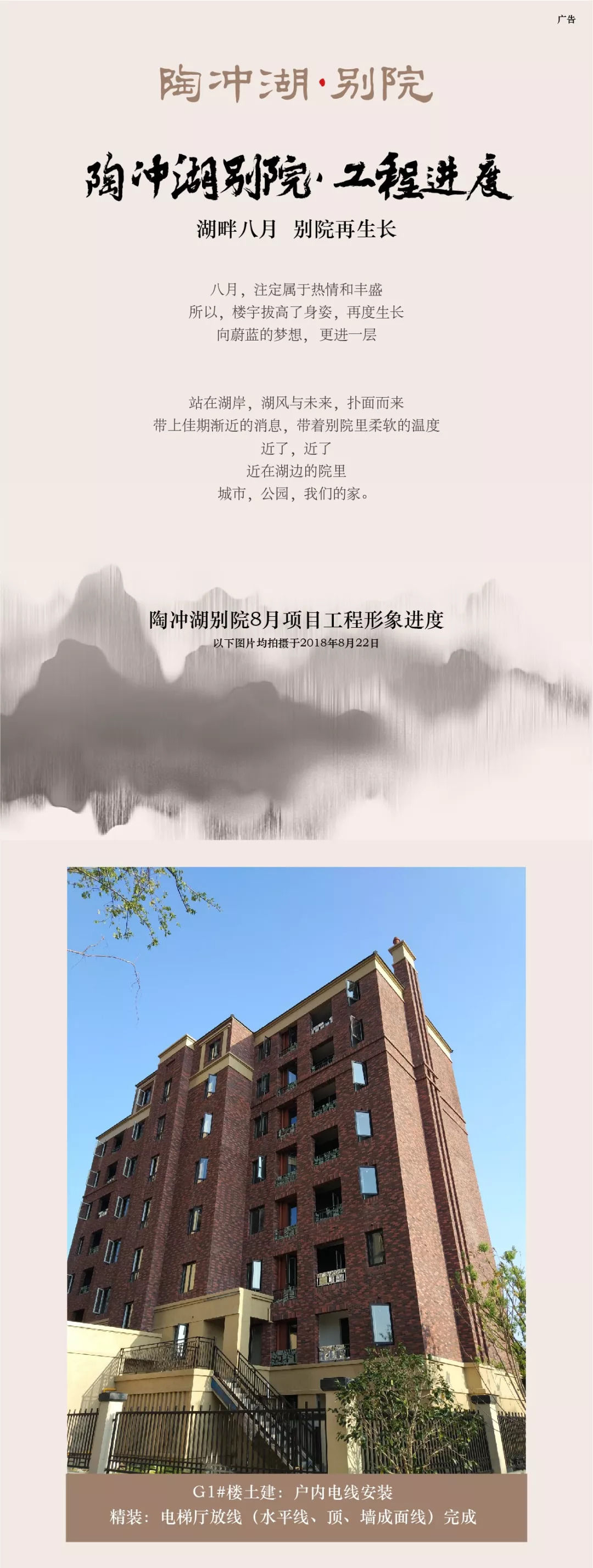 陶冲湖别院最新消息,数据分析计划_赛博版8.24.813